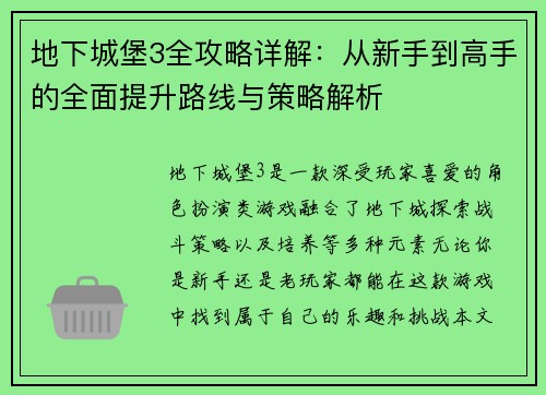 地下城堡3全攻略详解：从新手到高手的全面提升路线与策略解析